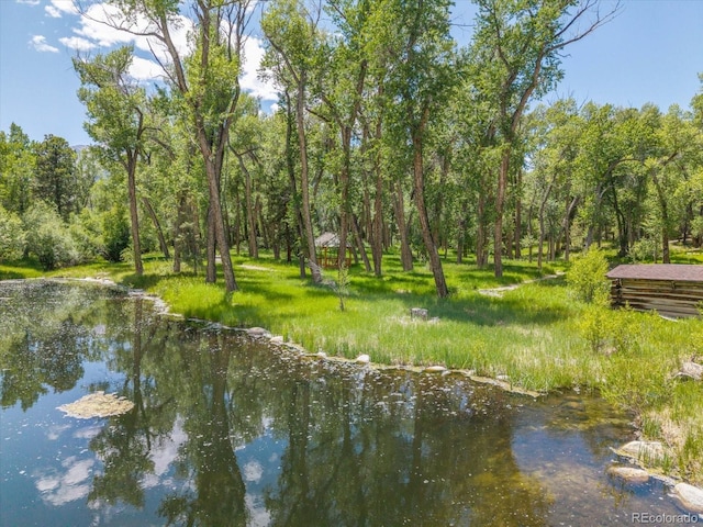 16985 County Road 306, Buena Vista, CO 81211 - water view