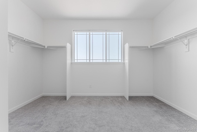 14345 Dahlia St, Thornton, CO 80602 - walk in closet featuring carpet floors