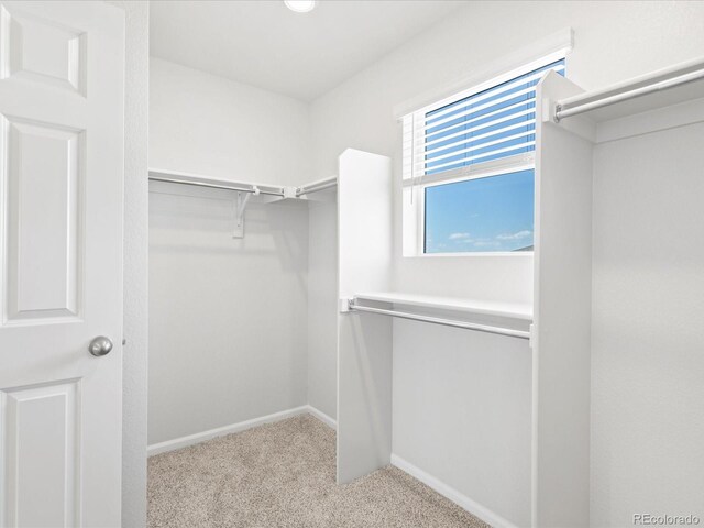 7324 27th Street Ln, Greeley, CO 80634 - spacious closet with carpet