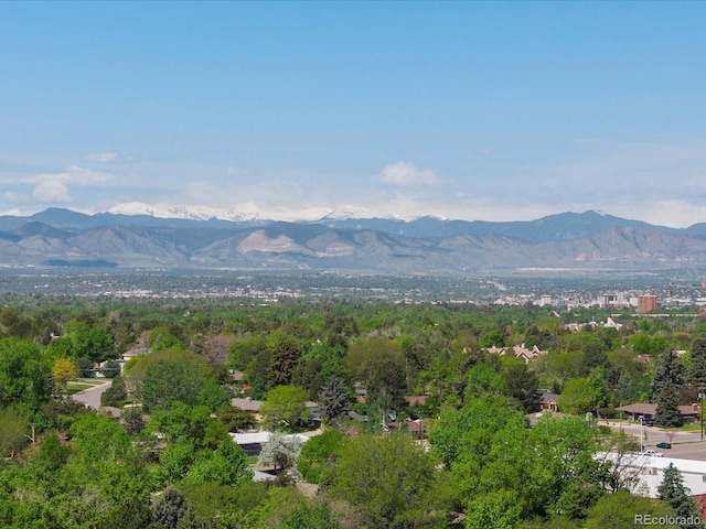 3560 S Glencoe St, Denver, CO 80237 - view of mountain background