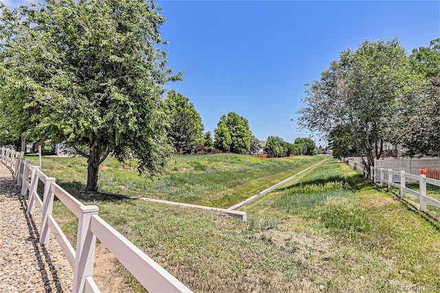 6230 Snowberry Ave, Firestone, CO 80504 - view of yard