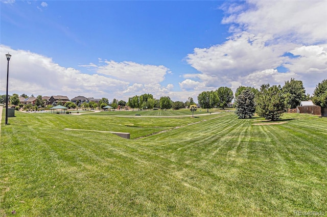 6230 Snowberry Ave, Firestone, CO 80504 - view of yard