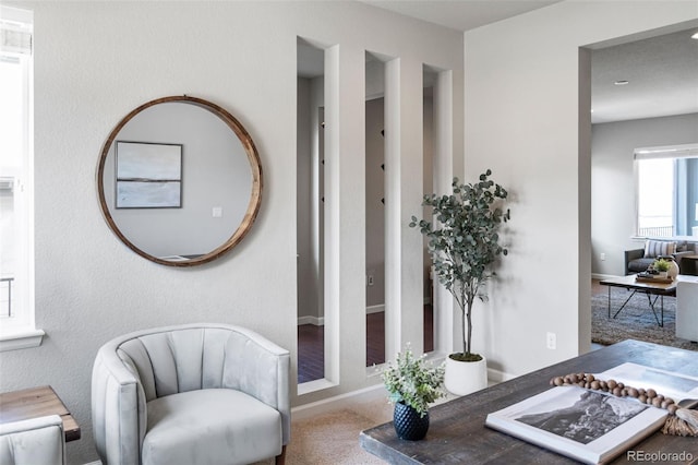 18180 W 84th Pl, Arvada, CO 80007 - living area featuring carpet and baseboards