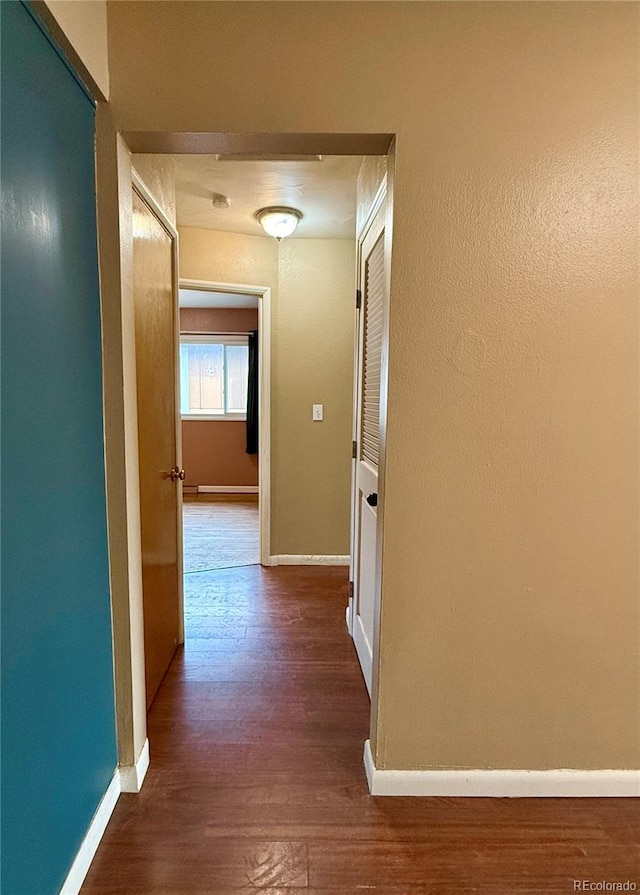 hall featuring hardwood / wood-style floors