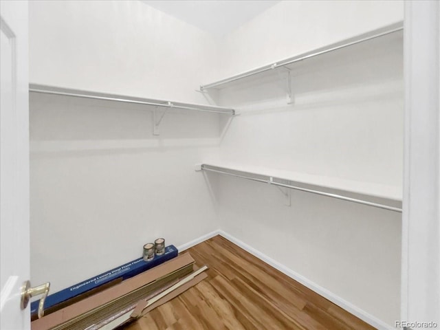 walk in closet with wood finished floors