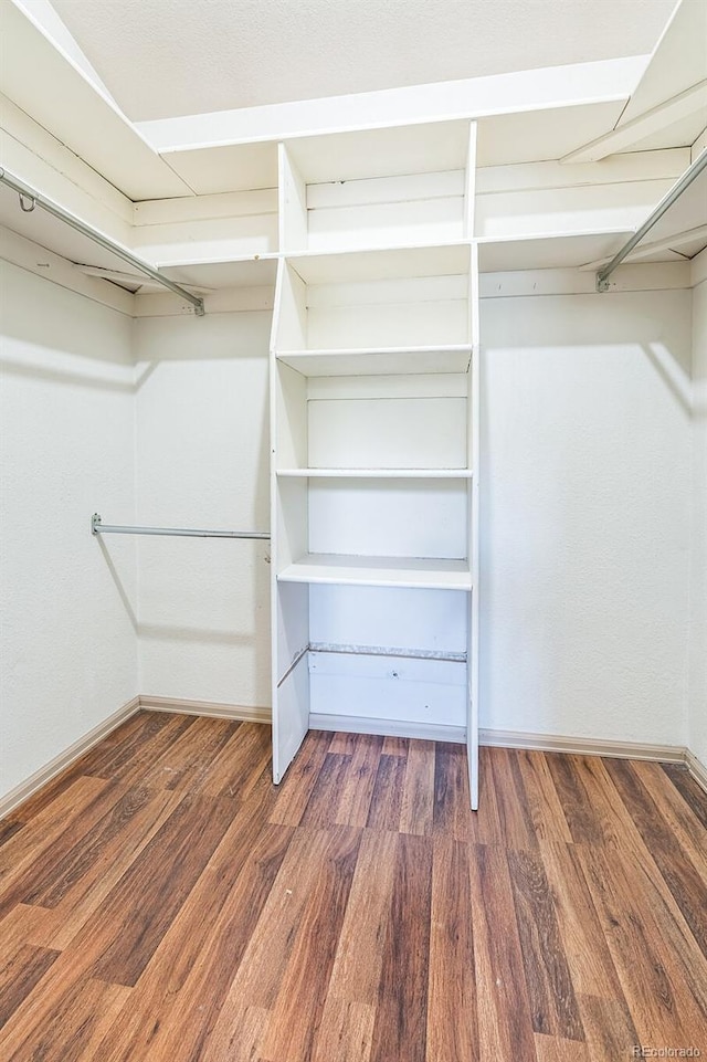 1826 Palm Dr, Colorado Springs, CO 80918 - walk in closet with wood finished floors