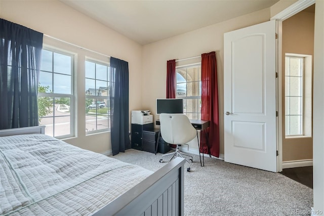 bedroom with multiple windows and carpet flooring