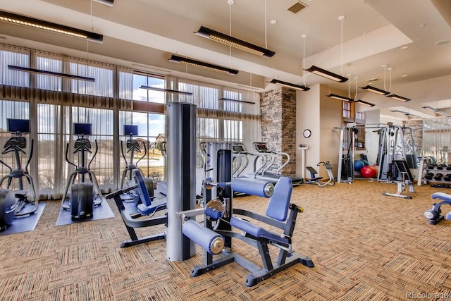 exercise room featuring carpet flooring and a towering ceiling