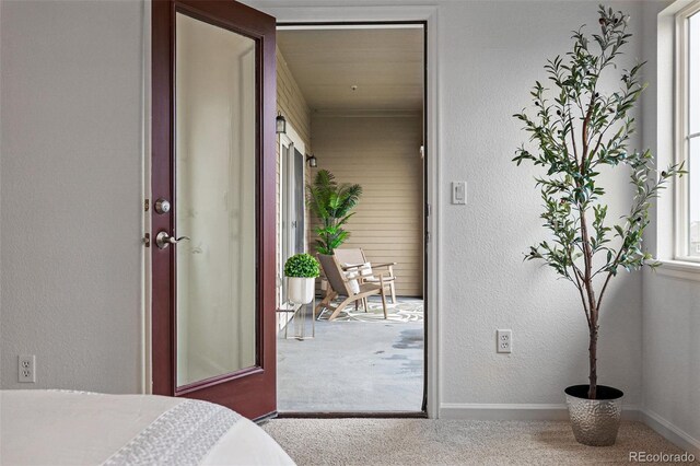 bedroom with carpet flooring, multiple windows, baseboards, and a textured wall