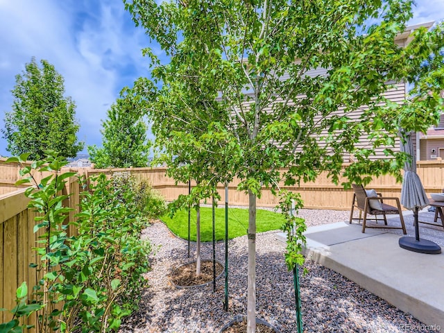 2899 Merry Rest Way, Castle Rock, CO 80109 - photo 26