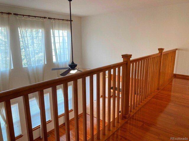 1022 Morning Dove Dr, Longmont, CO 80504 - stairs with wood finished floors, ceiling fan, and baseboards