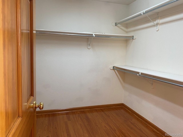 1022 Morning Dove Dr, Longmont, CO 80504 - walk in closet featuring wood finished floors