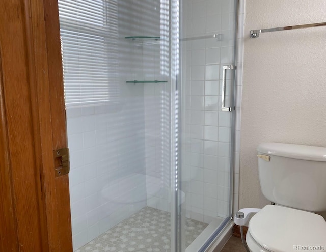 1022 Morning Dove Dr, Longmont, CO 80504 - full bath featuring toilet and a shower stall