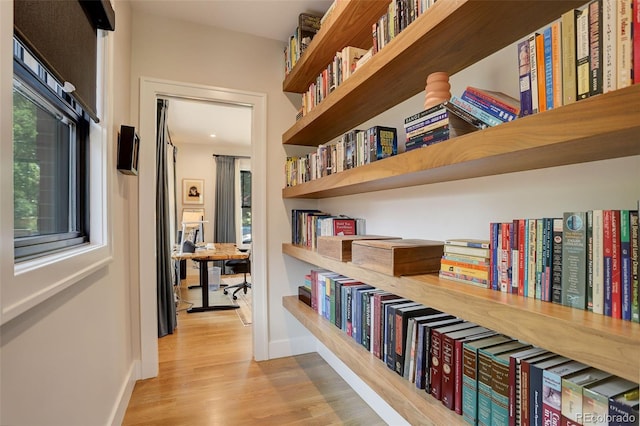 hall featuring a wealth of natural light and light hardwood / wood-style flooring