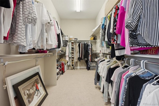 spacious closet with carpet