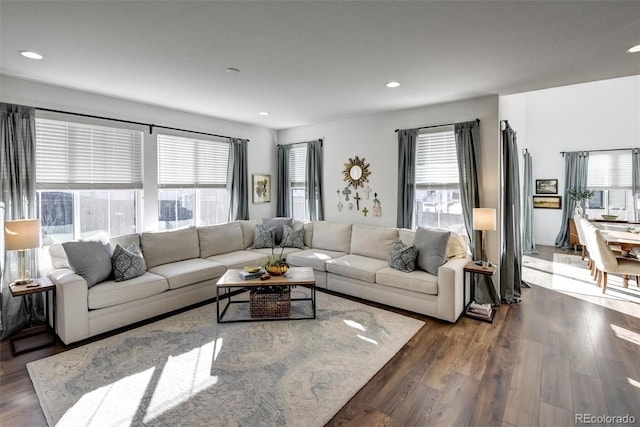 living room with dark hardwood / wood-style flooring and a wealth of natural light