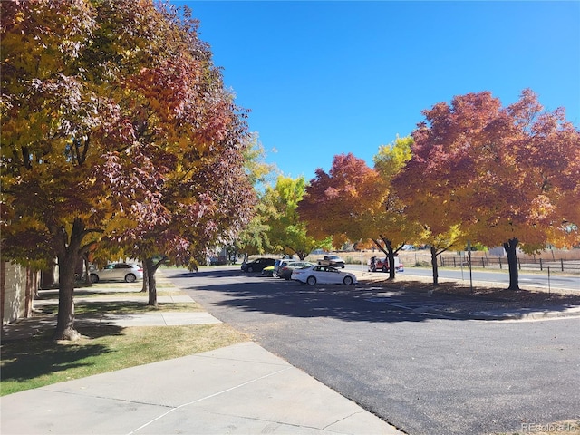 view of street