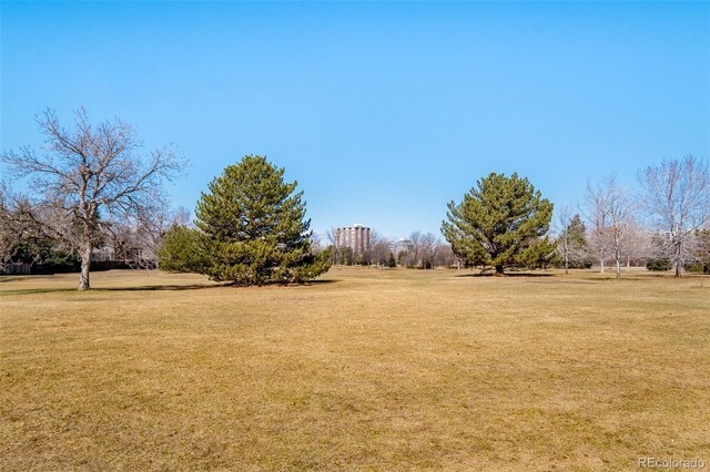 view of yard