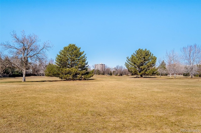 621 S Harrison Ln, Denver, CO 80209 - view of green lawn