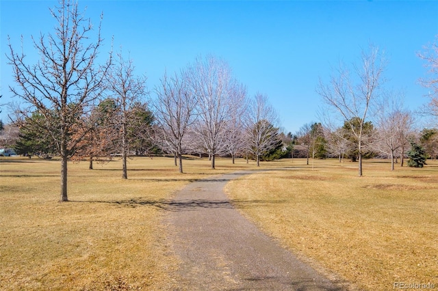 621 S Harrison Ln, Denver, CO 80209 - view of street