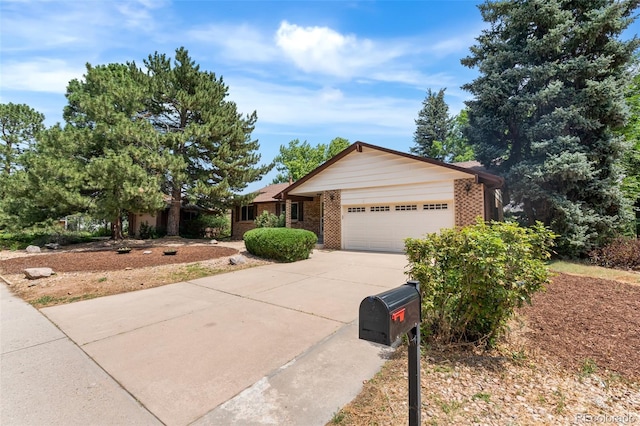 1828 Mt Zion Dr, Golden, CO 80401 - photo 33