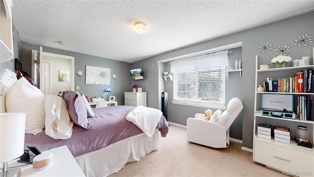 4276 S Tempe Ct, Aurora, CO 80018 - photo 19