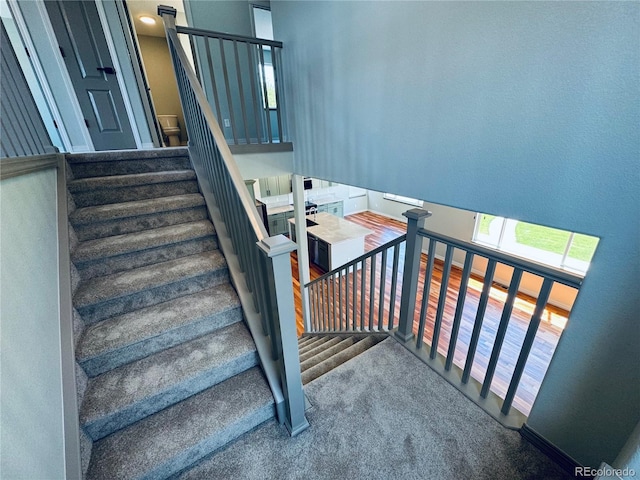 4642 Quandary Peak St, Brighton, CO 80601 - photo 14