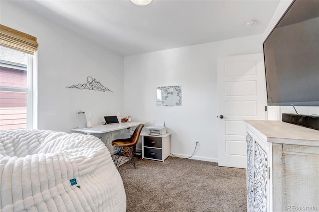 8049 Monte Vista Cir, Littleton, CO 80125 - office with carpet and baseboards