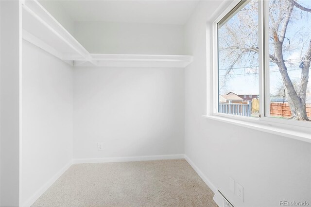 1205 W 101st Ave, Northglenn, CO 80260 - walk in closet with carpet floors