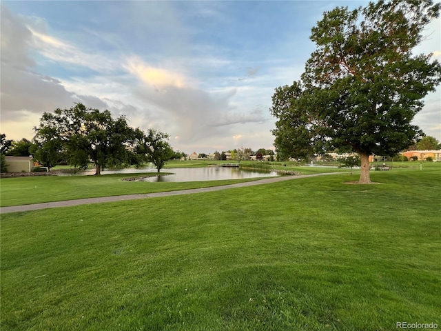 650 S Clinton St Unit 2A, Denver, CO 80247 - photo 19