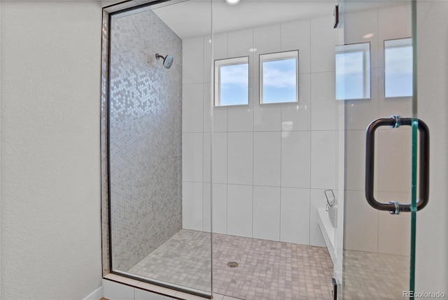 21900 E 46th Pl, Aurora, CO 80019 - full bath with a stall shower