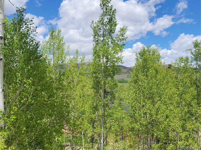 113 Gcr 4480, Grand Lake, CO 80447 - photo 44