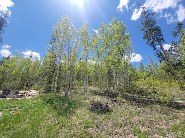 113 Gcr 4480, Grand Lake, CO 80447 - photo 41