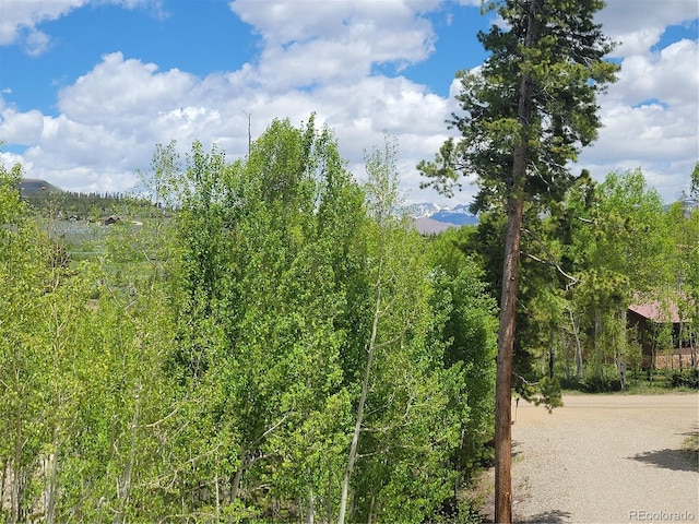 113 Gcr 4480, Grand Lake, CO 80447 - photo 43