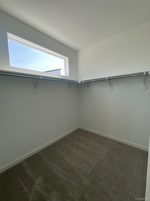 1722 Peak Loop, Broomfield, CO 80023 - photo 9