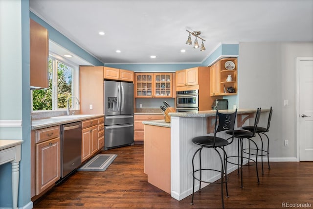 kitchen featuring sink, stainless steel appliances, a kitchen breakfast bar, light stone counters, and dark hardwood / wood-style flooring