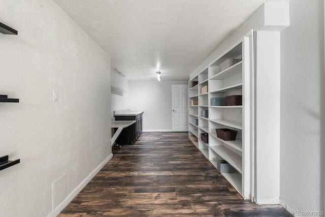 walk in closet with dark hardwood / wood-style floors