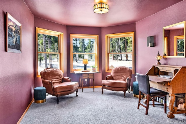 757 Thompson Park Rd, Fairplay, CO 80440 - living area featuring a textured wall, plenty of natural light, carpet, and baseboards
