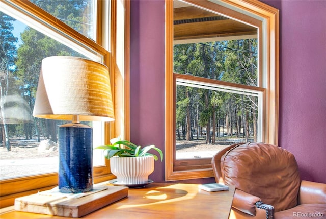757 Thompson Park Rd, Fairplay, CO 80440 - living area with plenty of natural light and a textured wall