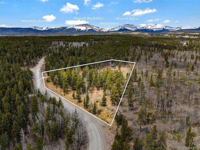 757 Thompson Park Rd, Fairplay, CO 80440 - view of property location featuring a heavily wooded area, a mountain backdrop, and property parcel outlined