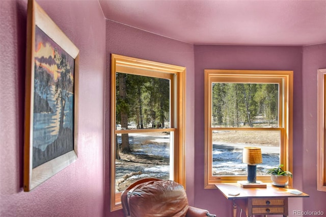 757 Thompson Park Rd, Fairplay, CO 80440 - view of entryway