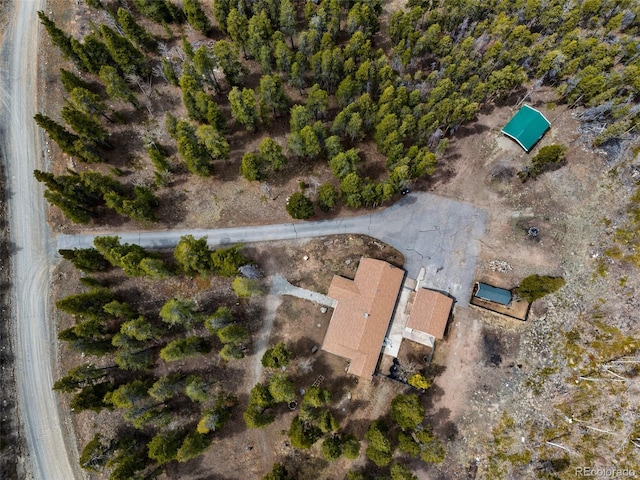 757 Thompson Park Rd, Fairplay, CO 80440 - aerial view of property's location