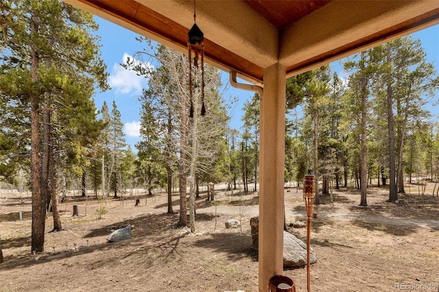 757 Thompson Park Rd, Fairplay, CO 80440 - view of yard with view of wooded area