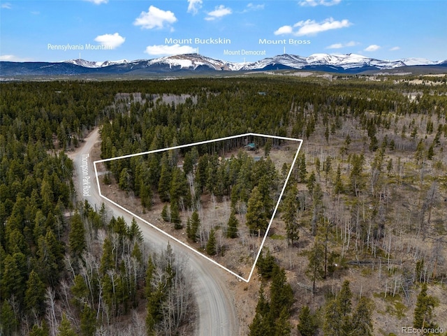 757 Thompson Park Rd, Fairplay, CO 80440 - aerial view of property's location featuring a heavily wooded area, a mountainous background, and property parcel outlined