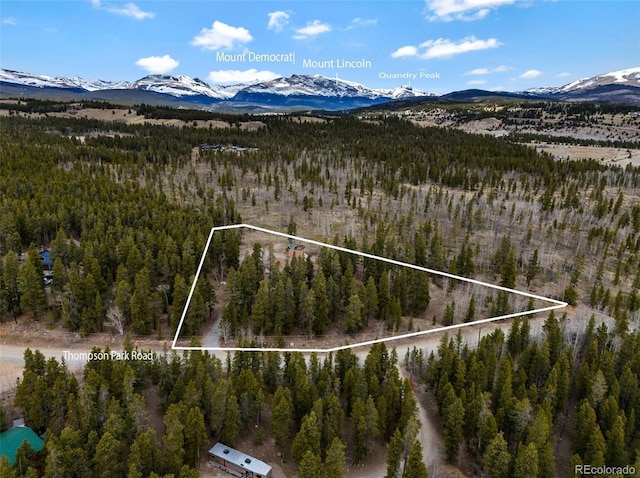 757 Thompson Park Rd, Fairplay, CO 80440 - mountain view with a forest