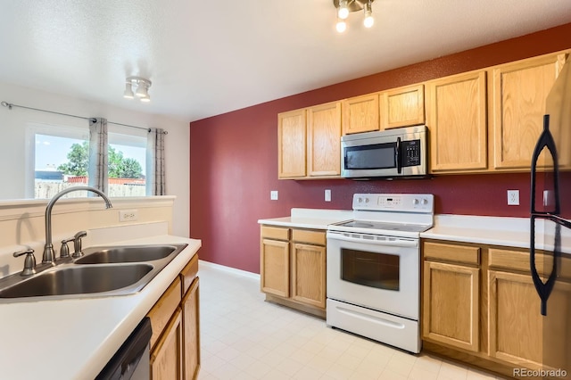 5663 W 118th Pl, Westminster, CO 80020 - photo 12