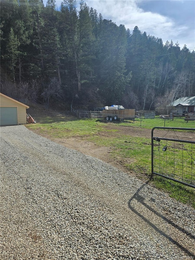 124 River Dr, Bailey, CO 80421 - view of dirt / gravel driveway with a wooded view
