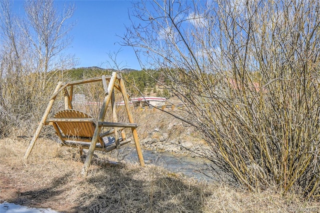 124 River Dr, Bailey, CO 80421 - view of yard