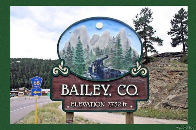 124 River Dr, Bailey, CO 80421 - exterior view of a wooded view
