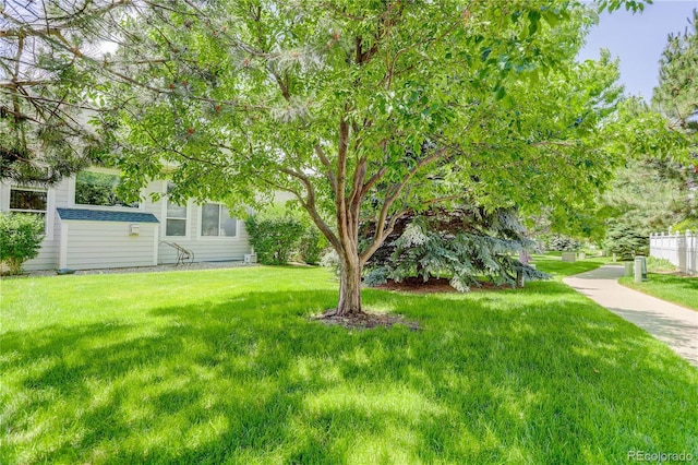 2608 S Troy Ct, Aurora, CO 80014 - photo 22